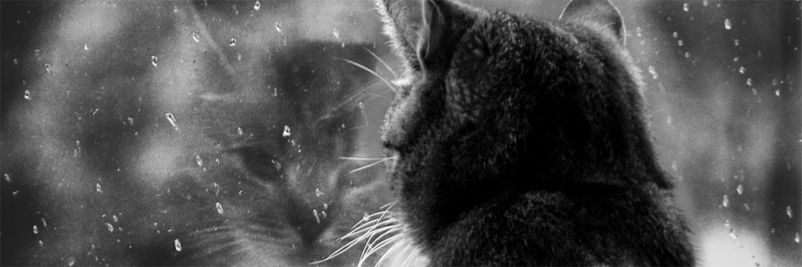 Iskoristite srijedu, stižu južina i obilne kiše!