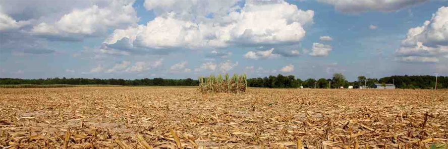 Štete od suše čak 2.855.000, a Sinjaninu plaćaju - 11 kuna!