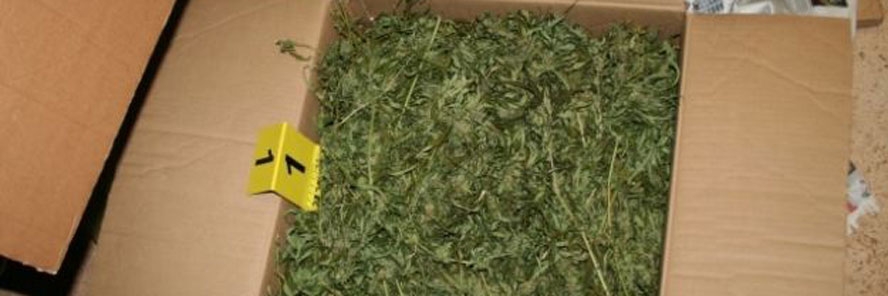 Zagrebačka policija u dva dana zaplijenila 13,5 kilograma marihuane vrijedne oko 280 tisuća kuna