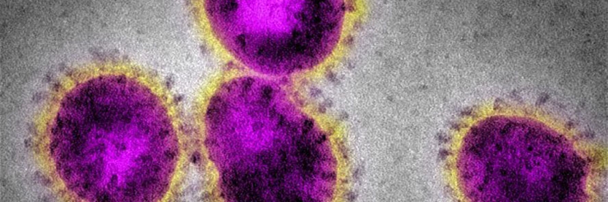 Smrtonosni virus NCoV počeo se širiti među ljudima (VIDEO)