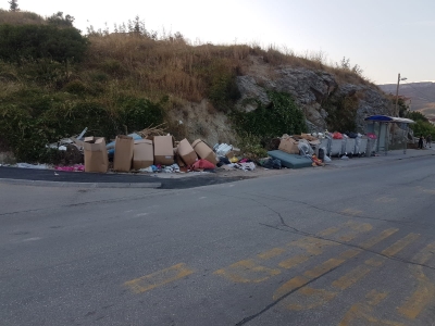 Nevjerojatna priča nam dolazi sa Šina