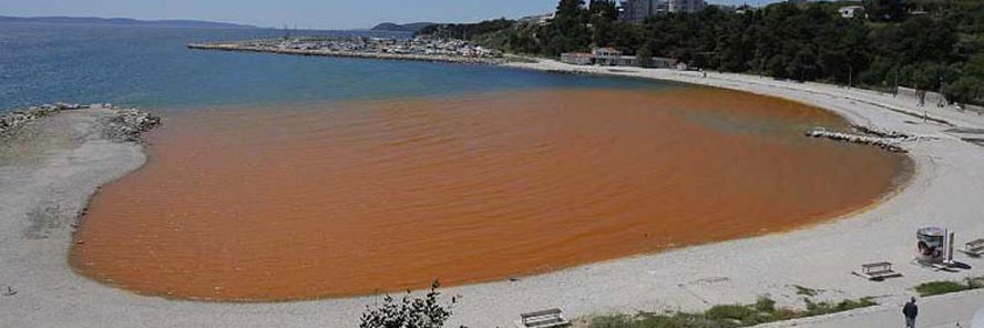 Ravnatelj KBC-a Split Duplančić završio u bolnici zbog stresa oko mrlje na Trsteniku?