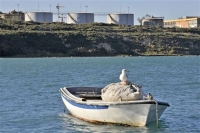 PROJEKT TEŽAK 200 MILIJUNA